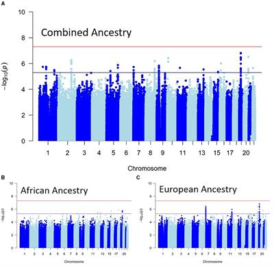 Diversity in genetic risk of recurrent stroke: a genome-wide association study meta-analysis